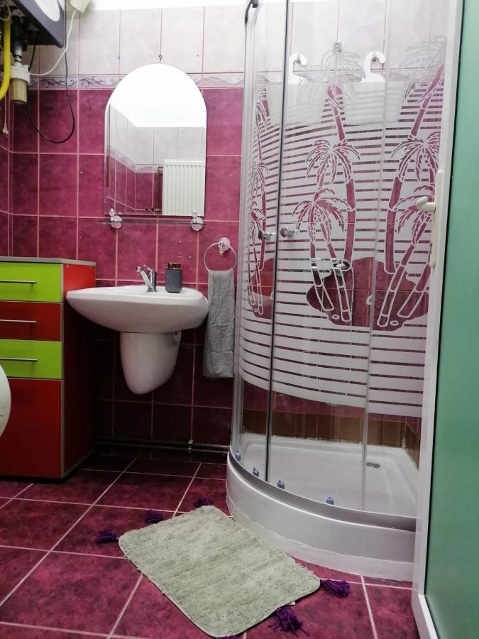 Apartament Josefin Apartment Тимишоара Екстериор снимка